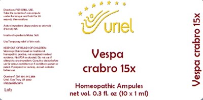 Vespa crabro 15X Ampules.jpg Vespa crabro 15X Ampules - Vespa crabro 15X Ampules